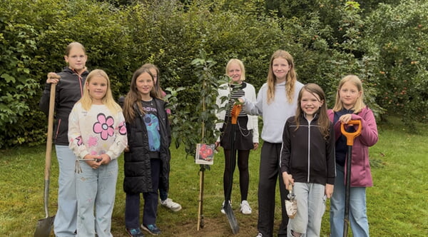 Baumpflanchallenge 2025